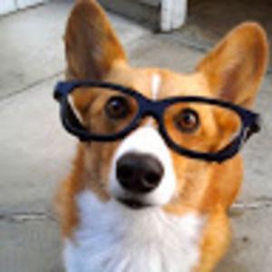 Meet your Posher, Wade